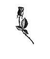 Symbole